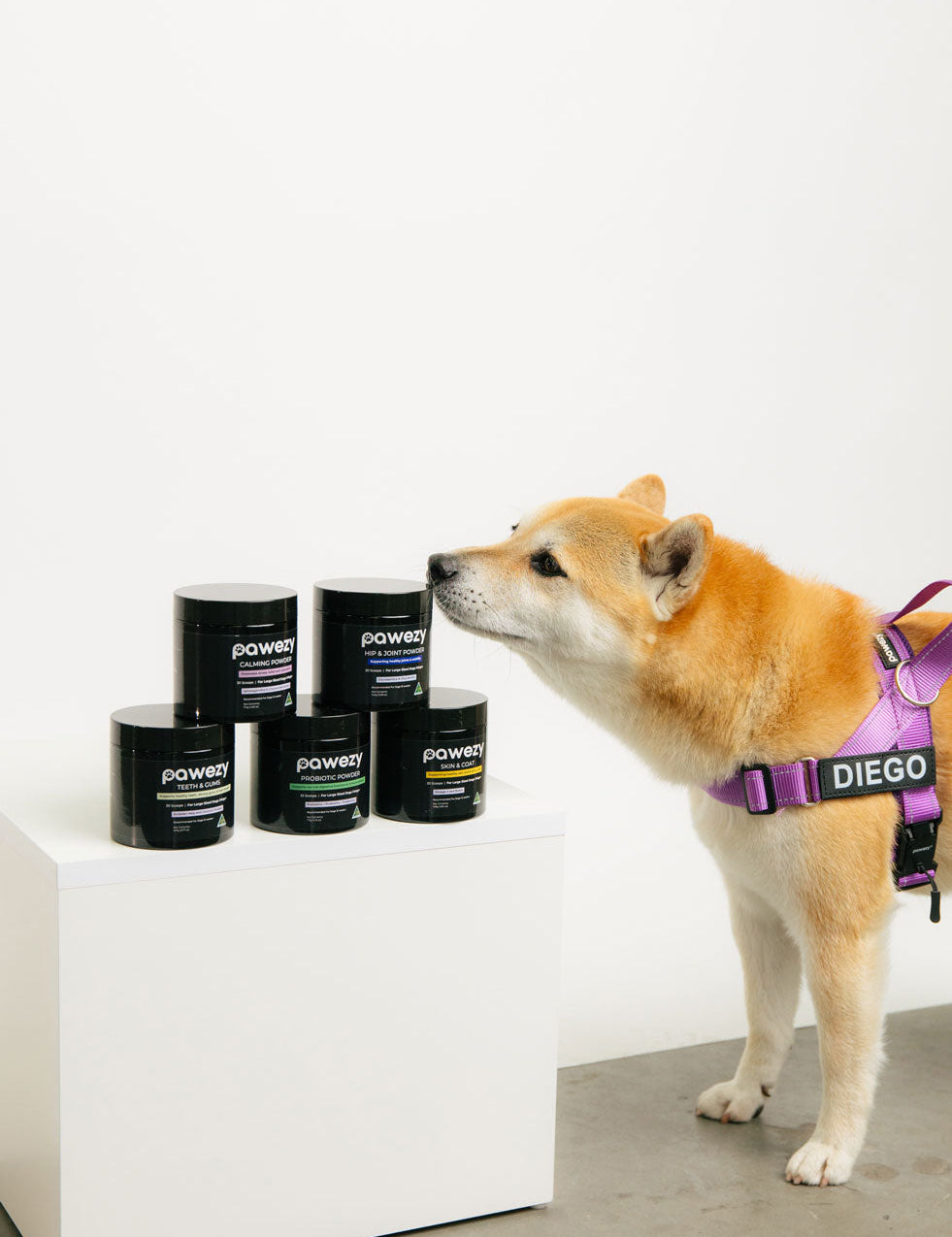 What are the Best Supplements for Senior Dogs? Types and Recommendations