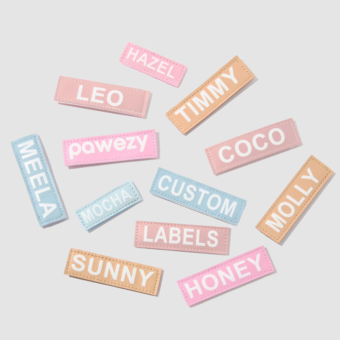 Bubblegum
